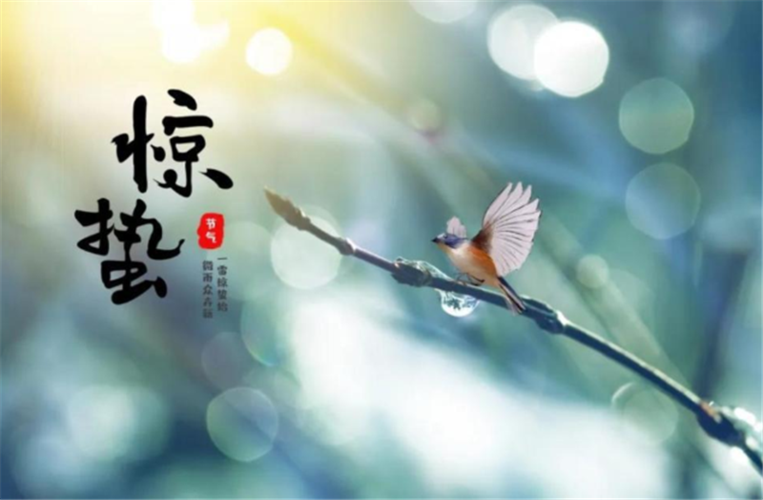 惊蛰节气天气?惊蛰天气多少度-图2 惊蛰节气天气?惊蛰天气多少度-图2