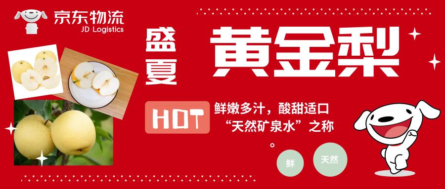 什么是百果之宗?黄金梨酒多少钱-图2 什么是百果之宗?黄金梨酒多少钱-图2