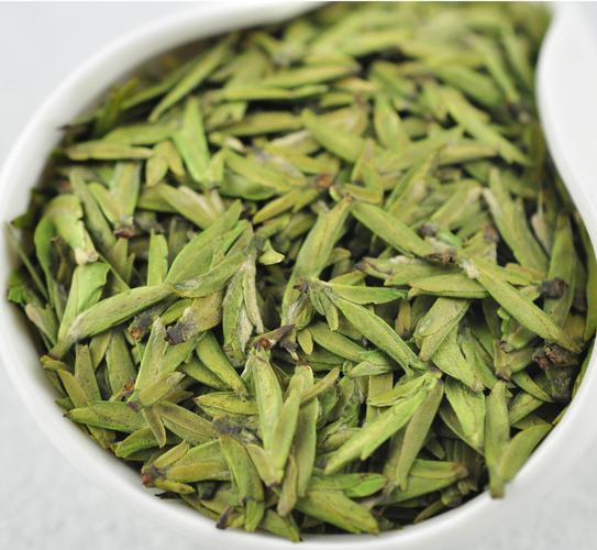 北方种茶树适合种什么品种?温州乌牛码头经纬度多少-图3 北方种茶树适合种什么品种?温州乌牛码头经纬度多少-图3