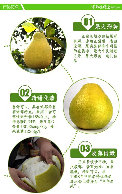 纯甜的柚子品种?长坝沙田柚子多少钱一个月-图3 纯甜的柚子品种?长坝沙田柚子多少钱一个月-图3