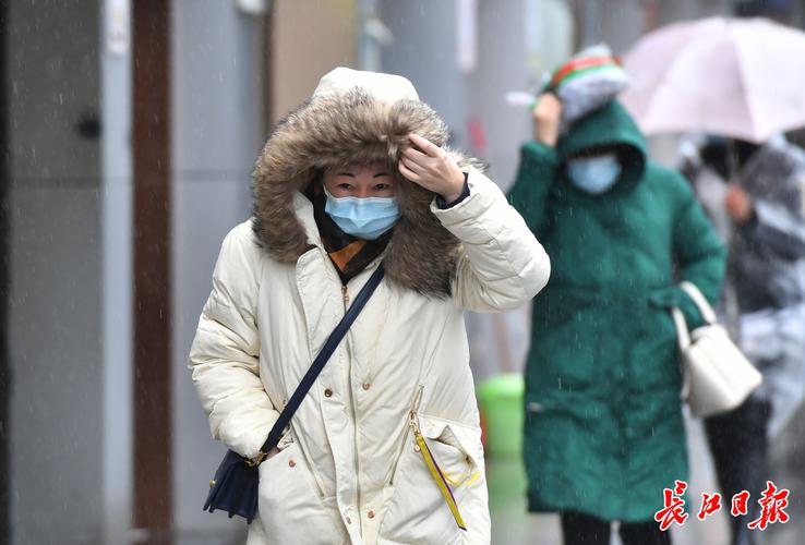 日本东京,冬天最冷时大概多少摄氏度?穿毛裤可以吗?需要带羽绒服吗?日本气温最冷多少度-图3 日本东京,冬天最冷时大概多少摄氏度?穿毛裤可以吗?需要带羽绒服吗?日本气温最冷多少度-图3