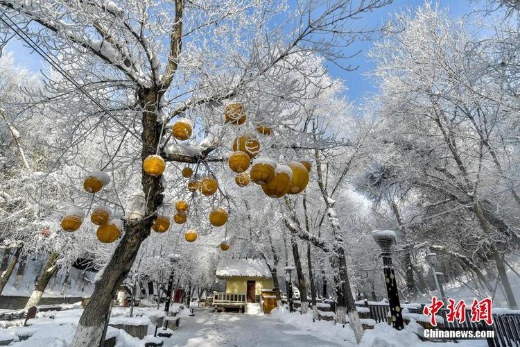 乌鲁木齐冬天拍照好看的地方?乌鲁木齐最低温度零下多少度会冻死-图3 乌鲁木齐冬天拍照好看的地方?乌鲁木齐最低温度零下多少度会冻死-图3