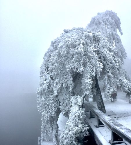 12月份庐山山上的温度有多少度?庐山冬季温度多少-图3 12月份庐山山上的温度有多少度?庐山冬季温度多少-图3