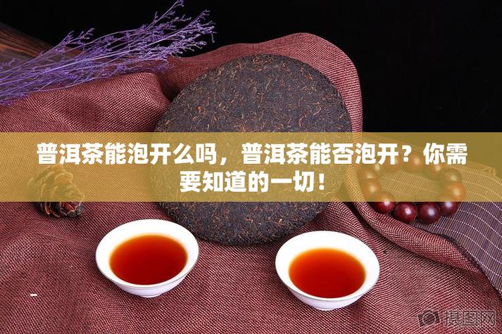 普洱茶水温的要求?云南省普洱市今天多少温度-图1 普洱茶水温的要求?云南省普洱市今天多少温度-图1
