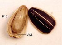 532424开头身份证是哪个地方?通海高大乡有多少村镇-图1 532424开头身份证是哪个地方?通海高大乡有多少村镇-图1
