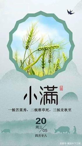 小满和芒种反映的气温是什么?小满后天气多少度-图3 小满和芒种反映的气温是什么?小满后天气多少度-图3