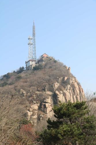 鲁山哪里有收竹子的?鲁山到瓦屋打车多少钱-图2 鲁山哪里有收竹子的?鲁山到瓦屋打车多少钱-图2