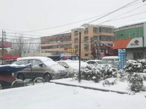 山东省济南市济阳县下冰雹了、到底是什么情况?青州离夏邑济阳镇多少公里-图3 山东省济南市济阳县下冰雹了、到底是什么情况?青州离夏邑济阳镇多少公里-图3