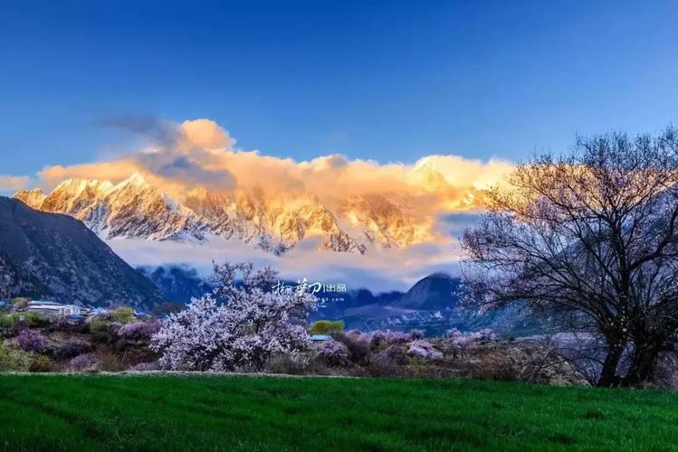 西藏林芝几月份热?拉萨最热的气温是多少度-图1 西藏林芝几月份热?拉萨最热的气温是多少度-图1
