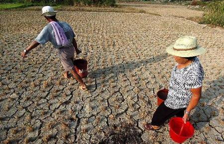 福建干旱到什么时候?福建多少年没干旱过了-图1 福建干旱到什么时候?福建多少年没干旱过了-图1