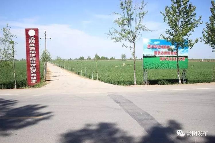 汤阴工业园有哪些工厂?河南汤阴菜园邮编是多少-图3 汤阴工业园有哪些工厂?河南汤阴菜园邮编是多少-图3