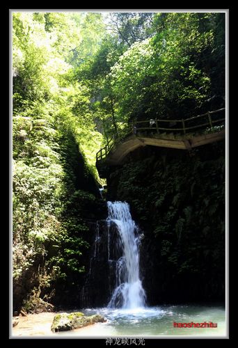 南川高海拔避暑有哪些地方?南川历史最低温度是多少-图1 南川高海拔避暑有哪些地方?南川历史最低温度是多少-图1