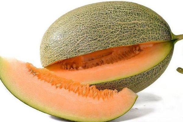 夏天什么水果最便宜?哈密瓜最便宜多少钱一个月-图2 夏天什么水果最便宜?哈密瓜最便宜多少钱一个月-图2