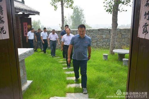 滕州龙山多高?滕州龙阳镇有多少人-图3 滕州龙山多高?滕州龙阳镇有多少人-图3
