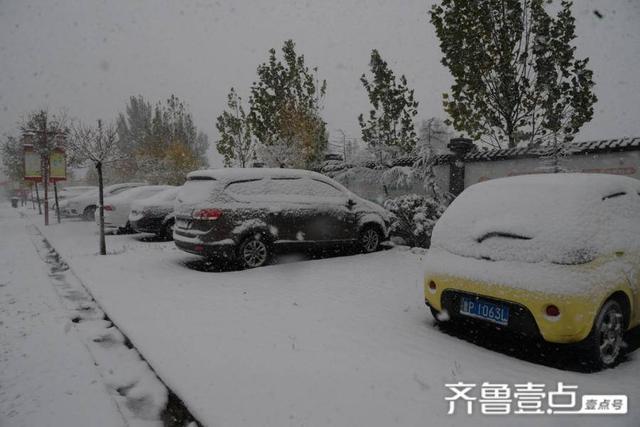 聊城市有几个县?茌平冬天最低温度多少度-图1 聊城市有几个县?茌平冬天最低温度多少度-图1