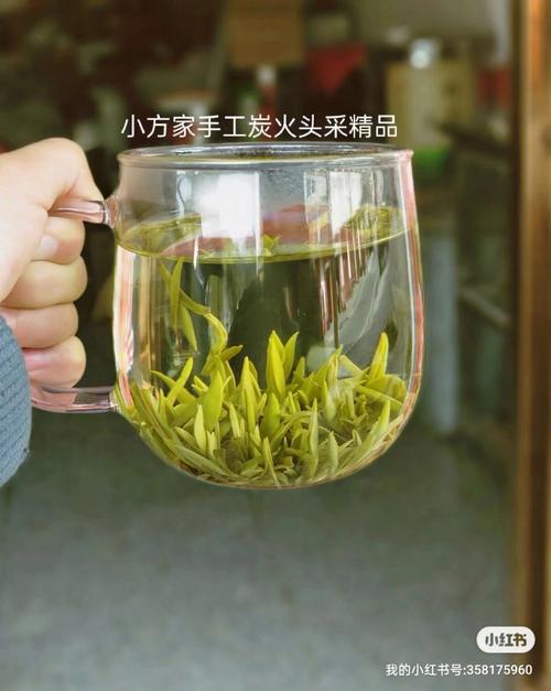霍山黄芽什么时间上市？霍山历史上气温最低是多少度-图2