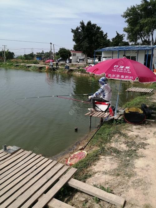 福建可以钓鱼住宿的地方？金湖县最冷天气多少度-图2