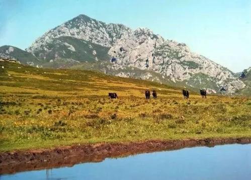 定西漳县旅游景点?漳县金钟镇海拔多少-图2 定西漳县旅游景点?漳县金钟镇海拔多少-图2