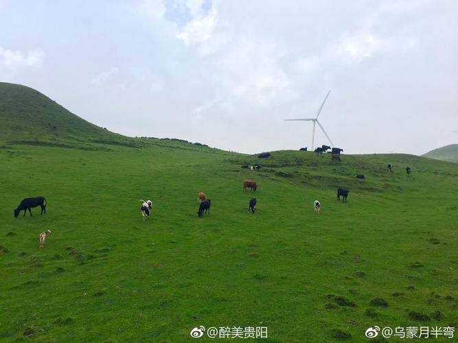 十月乌蒙大草原冷吗?贵州乌蒙大草原海边多少-图2 十月乌蒙大草原冷吗?贵州乌蒙大草原海边多少-图2