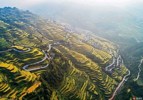 船丁鱼打鱼酱怎么做?雷山县永乐镇邮政电话号码是多少-图3 船丁鱼打鱼酱怎么做?雷山县永乐镇邮政电话号码是多少-图3