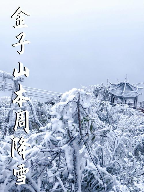 广东省最冷的一年是什么时候?广东金子山温度多少-图1 广东省最冷的一年是什么时候?广东金子山温度多少-图1
