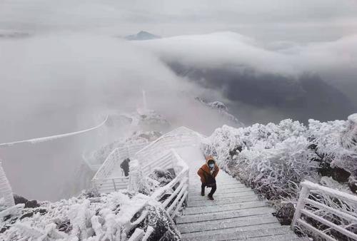 广东省最冷的一年是什么时候?广东金子山温度多少-图3 广东省最冷的一年是什么时候?广东金子山温度多少-图3