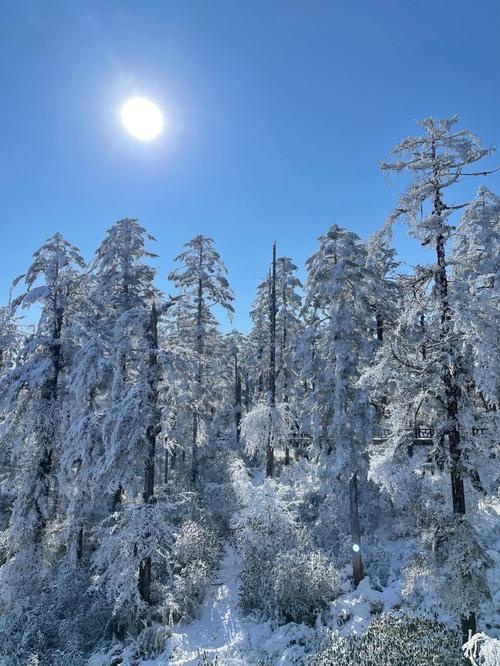 瓦屋山冬天气温如何?瓦屋山气温是多少度-图2 瓦屋山冬天气温如何?瓦屋山气温是多少度-图2