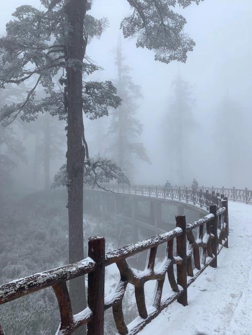 瓦屋山冬天气温如何?瓦屋山气温是多少度-图3 瓦屋山冬天气温如何?瓦屋山气温是多少度-图3