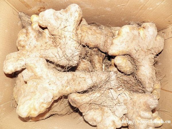 灵芝山药是哪里的品种?文山市红甸邮政编码是多少-图3 灵芝山药是哪里的品种?文山市红甸邮政编码是多少-图3