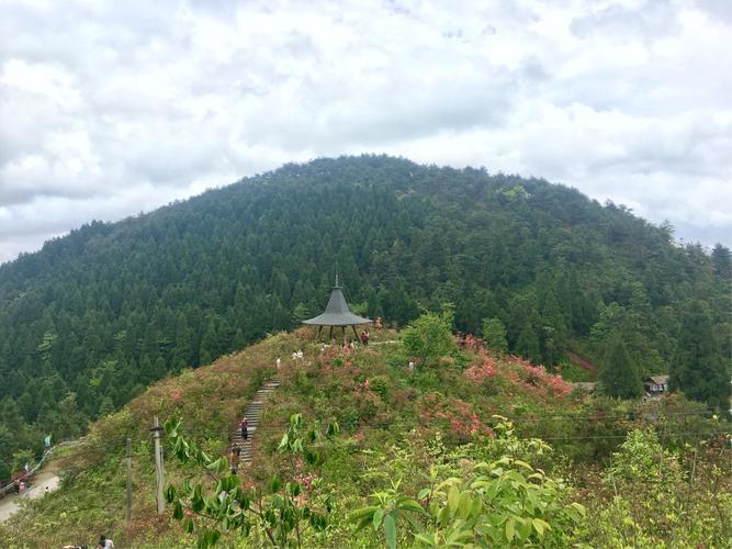 磐安高姥山要门票吗?高姥山风景区门票多少钱一张-图1 磐安高姥山要门票吗?高姥山风景区门票多少钱一张-图1