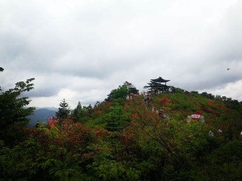 磐安高姥山要门票吗?高姥山风景区门票多少钱一张-图3 磐安高姥山要门票吗?高姥山风景区门票多少钱一张-图3