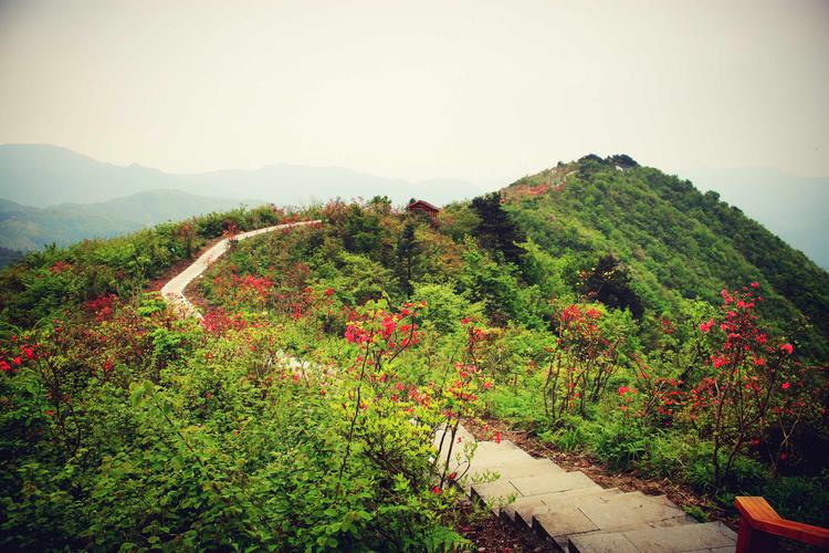 磐安杜鹃花谷风景区要门票吗?高姥山风景区门票多少钱一张-图3 磐安杜鹃花谷风景区要门票吗?高姥山风景区门票多少钱一张-图3