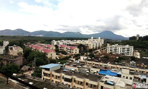 海南儋州分哪些地区?儋州西培农场有多少人口-图1 海南儋州分哪些地区?儋州西培农场有多少人口-图1