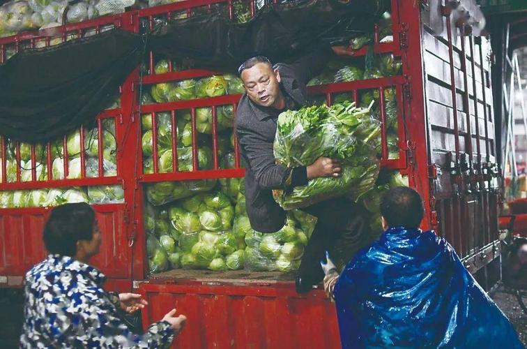 中南市场批发蔬菜晚上几点开始?桂阳县夏天最高温度是多少-图1 中南市场批发蔬菜晚上几点开始?桂阳县夏天最高温度是多少-图1