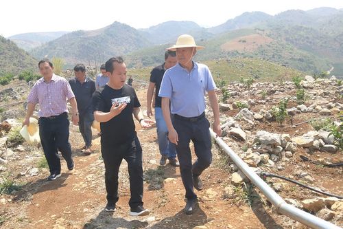 廵检司今年火把节地址?建水县利民乡的邮政编码是多少-图3 廵检司今年火把节地址?建水县利民乡的邮政编码是多少-图3
