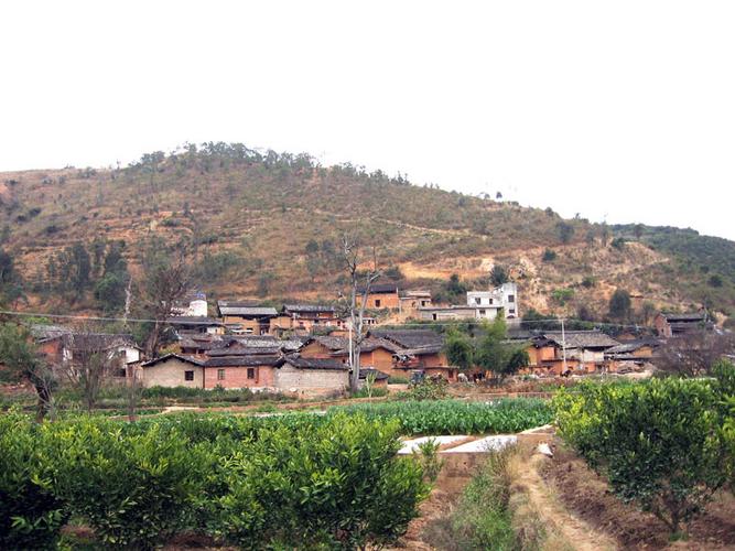 廵检司今年火把节地址?建水县利民乡的邮政编码是多少-图2 廵检司今年火把节地址?建水县利民乡的邮政编码是多少-图2