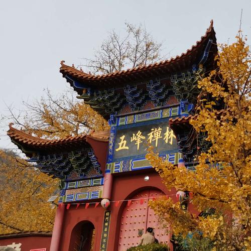 遵化周边好玩的地方?禅林寺 银杏 多少年-图1 遵化周边好玩的地方?禅林寺 银杏 多少年-图1