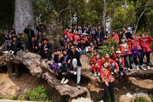 藤条江的发源地?金平猛拉邮政编码是多少-图1 藤条江的发源地?金平猛拉邮政编码是多少-图1