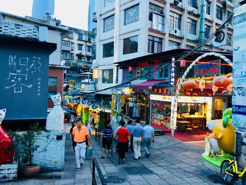 猫街是在鼓浪屿吗？武定猫街有多少人-图1