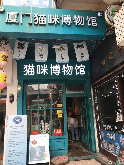 猫街是在鼓浪屿吗？武定猫街有多少人-图3