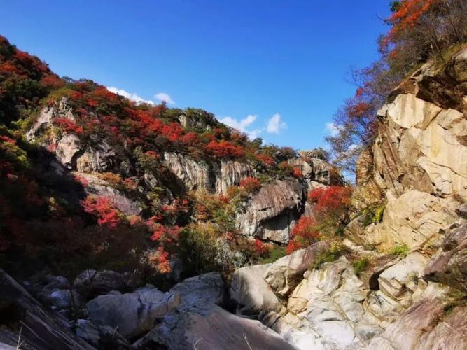 有知道河南洛阳嵩县车村镇中原怪峡风景区的吗?嵩县纸房乡农业补贴原始密码是多少-图3 有知道河南洛阳嵩县车村镇中原怪峡风景区的吗?嵩县纸房乡农业补贴原始密码是多少-图3