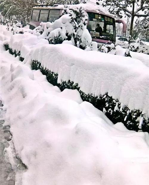 石家庄哪年下雪最大?降雪量达到多少封高速-图1 石家庄哪年下雪最大?降雪量达到多少封高速-图1