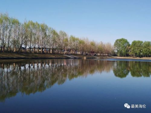 “繁花”是什么意思?2017年海伦雨水多少-图2 “繁花”是什么意思?2017年海伦雨水多少-图2
