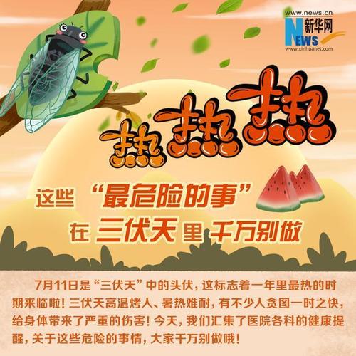 几伏天就没有知了猴了?2017的伏天有多少天-图1 几伏天就没有知了猴了?2017的伏天有多少天-图1