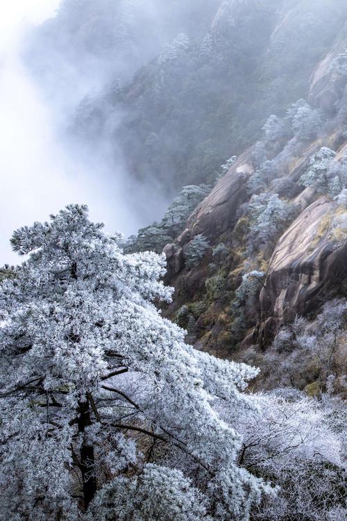 黄山风景区冬天适合去吗?黄山风景区现在多少度-图3 黄山风景区冬天适合去吗?黄山风景区现在多少度-图3
