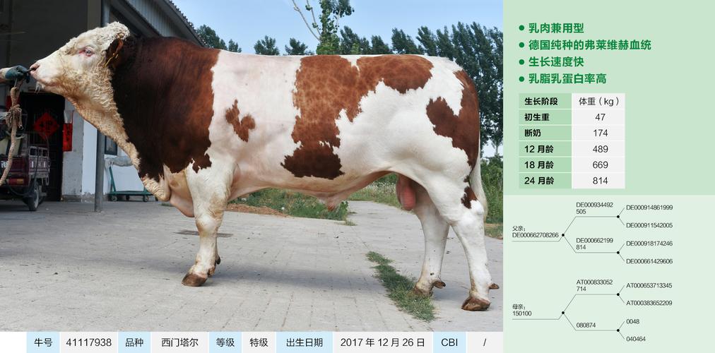 2126千克加310是多少斤?2126kg 多少磅-图1 2126千克加310是多少斤?2126kg 多少磅-图1