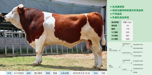 2126千克加310是多少斤?2126kg 多少磅-图2 2126千克加310是多少斤?2126kg 多少磅-图2