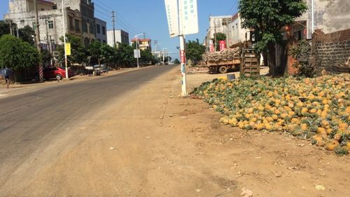 徐闻汽车站有去下洋镇的公交车吗?徐闻到下洋镇多少公里-图3 徐闻汽车站有去下洋镇的公交车吗?徐闻到下洋镇多少公里-图3