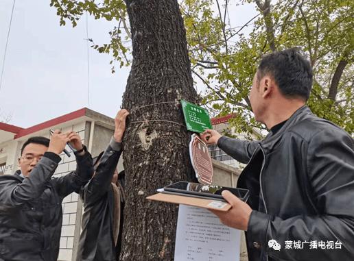 34162219身份证号码哪里的?蒙城区号是多少钱-图1 34162219身份证号码哪里的?蒙城区号是多少钱-图1