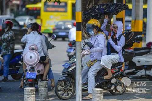 海口最近天气穿什么衣服比较好?海口现在多少度 穿什么-图1 海口最近天气穿什么衣服比较好?海口现在多少度 穿什么-图1